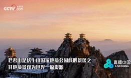 中央十三台在线观看,开启便捷电视新体验