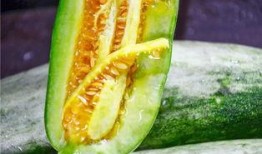 哪种地方可以吃网红瓜呢,探寻各地特色美食打卡地